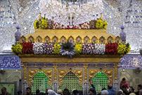 گل آرایی آستان مقدس حضرت عباس(ع) به مناسبت ماه مبارک شعبان