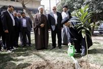 کاشت دو اصله نهال توسط سرپرست حجاج ایرانی و رئیس سازمان حج و زیارت