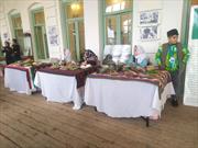 جشنواره غذاهای محلی در بندر آستارا برگزار شد