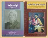 رونمایی از دو کتاب در مراسم نکوداشت مختومقلی فراغی/ مختومقلی پژوهان تجلیل شدند