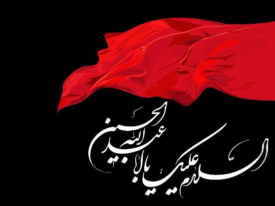 تبرک عزاداران دلیجانی به پرچم حرم مطهر امام حسین(ع) 