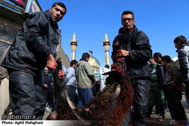 ۳ میلیارد و ۲۰۰ میلیون تومان نذورات اهدایی نقدی و فروش احشام حسینیه اعظم زنجان اعلام شد