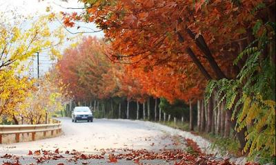 تصویری سازی زیباترین جلوه پاییزی شهر تهران