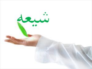 دوره آموزشی شیعه شناسی در دانشگاه اراک برگزار می شود