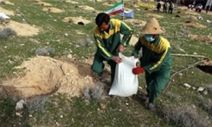 ۱۰۰ هزار اصل نهال در دهلران غرس می‌شود