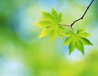 شادی در اسلام دلیل نمی‌خواهد/مومن غمش را در دل نهان می‌کند