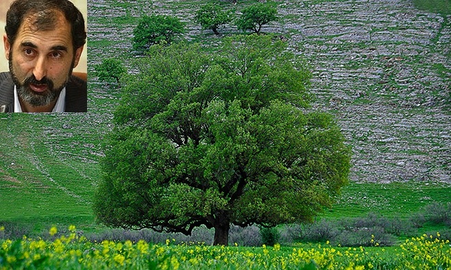 طبیعت باب معرفت الله است نه صرفا ابزار لذّات مادی