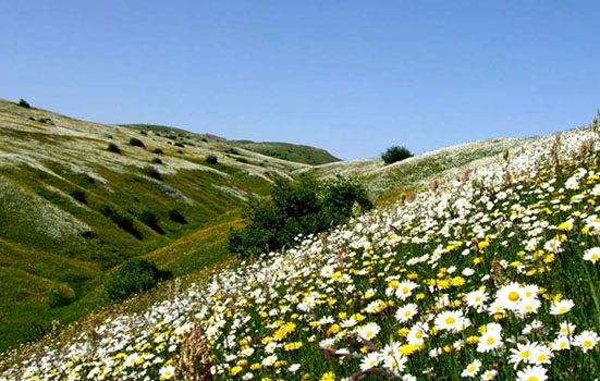 پتانسیل های جشنواره گردشگری فصلی استان اردبیل شناسایی شد