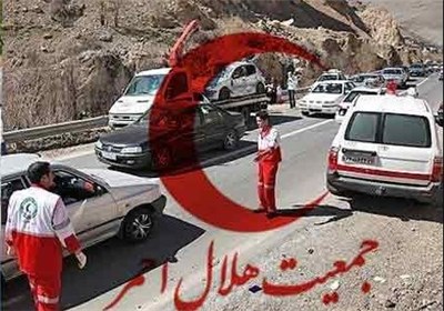 فعالیت نیکوکارانه نهال های زیتون، نماد صلح و پیروزی