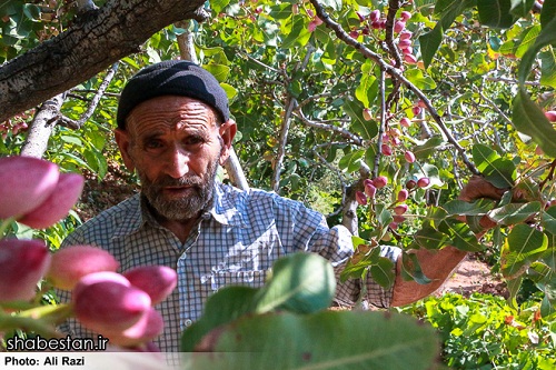 مجاهدت؛ تفسیر خالصانه یک زندگی