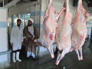 جمع آوری نذورات عید قربان در ۶۰۰ پایگاه ثابت و سیار در کرمانشاه