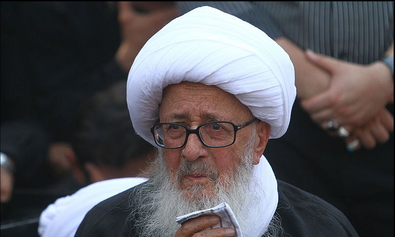 دیدار وزیر فرهنگ و ارشاد اسلامی با آیت‌الله وحید خراسانی