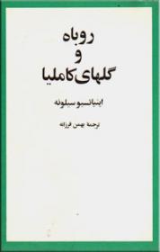 «روباه و گل‌های کاملیا» به سومین چاپ رسید