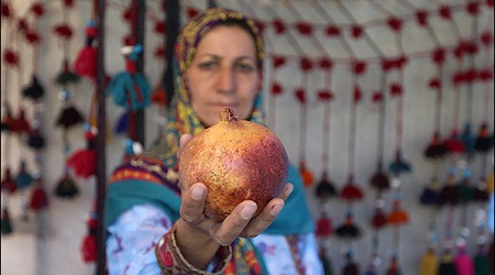 آشنايي با موسسه جهادي كه براي ۴۰۰ روستايي شغل پايدار ايجاد كرده است