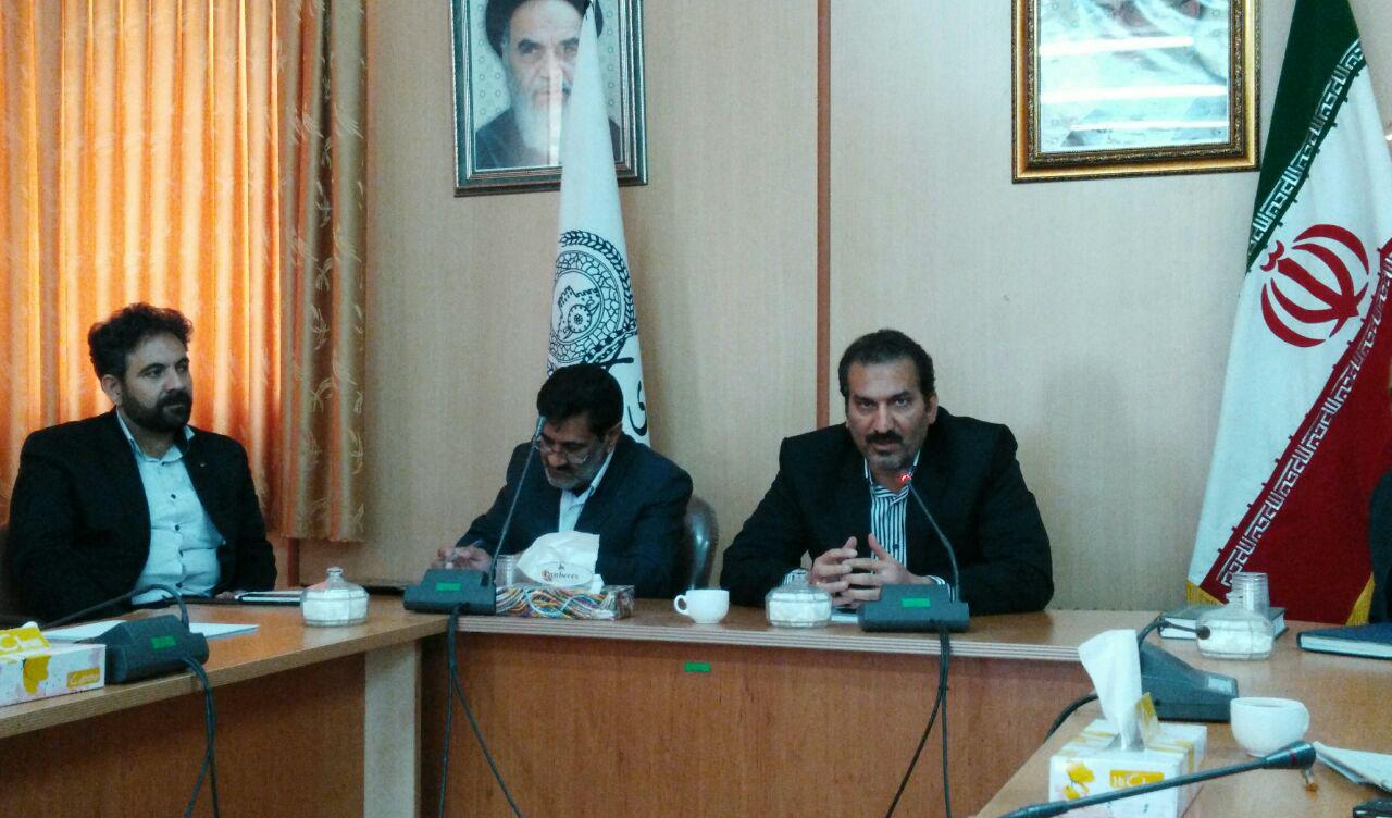 نصب ۳۰ المان نوروزی در بیرجند/ تمامی منازل مسکونی بیرجند رایگان بیمه حوادث شد