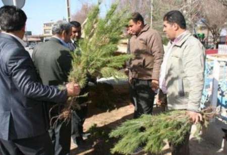 توزیع نهال بین نمازگزاران جمعه بیرجند