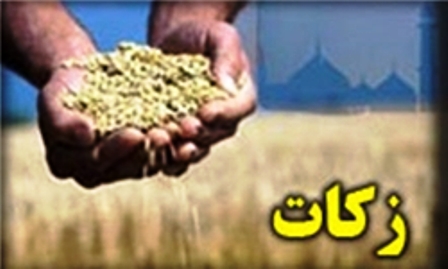 سیدناصر موسوی لارگانی عضو شورای مرکزی زکات شد