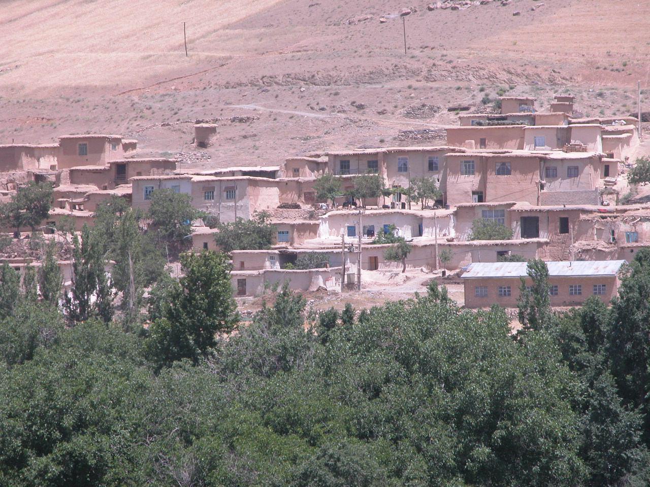 «کندوله»؛ تعبیر رویای خوشه های بهشتی+ تصاویر