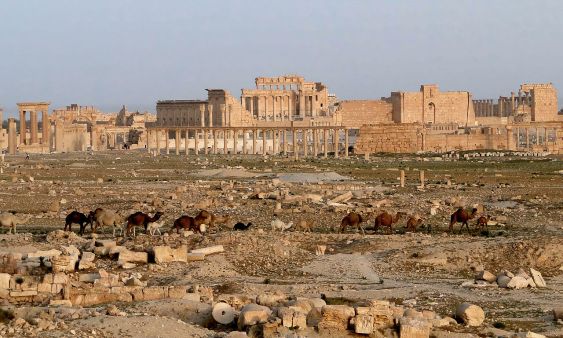 اعلام آمادگی ایران برای مشارکت در مرمت محوطه جهانی پالمیرا