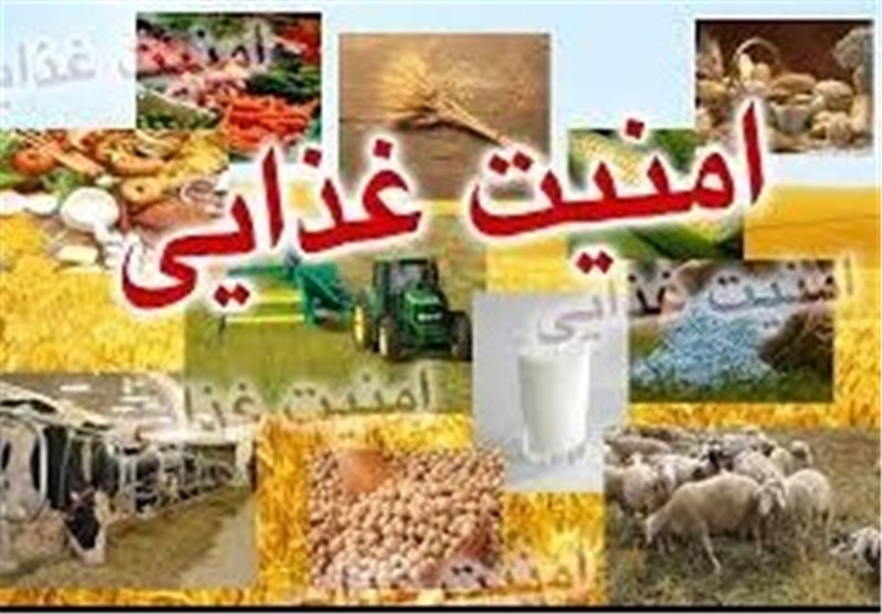 شناسنامه دار کردن مواد غذایی، مهمترین هدف ما در استان یزد  