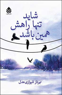  «شايد تنها راهش همين باشد» اثر مهرناز شيرازي عدل