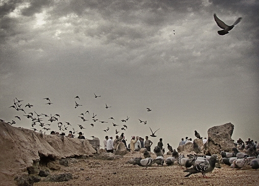 بازگشت اسلام به غربت ابتدایی خود در آخرالزمان