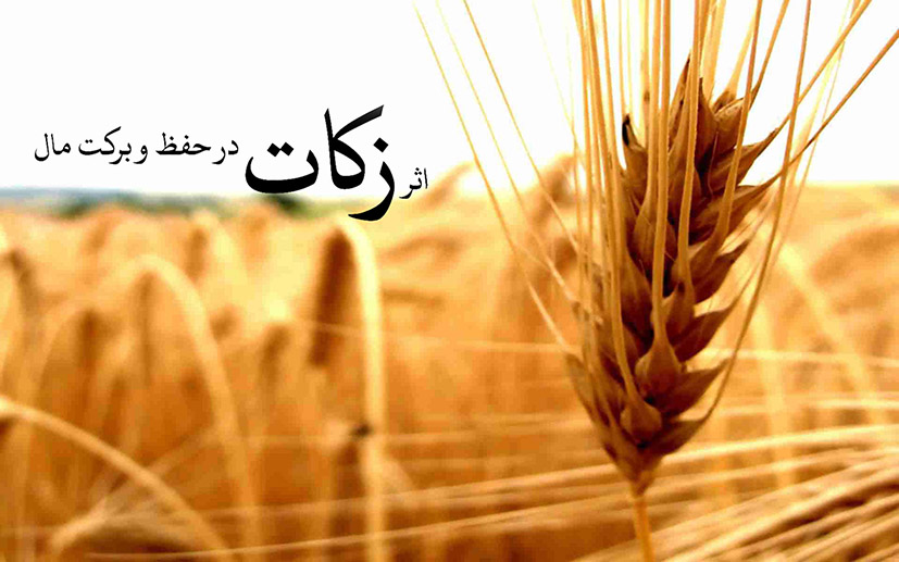 جمع‌آوری ۸۵ میلیارد ریال زکات در استان زنجان 