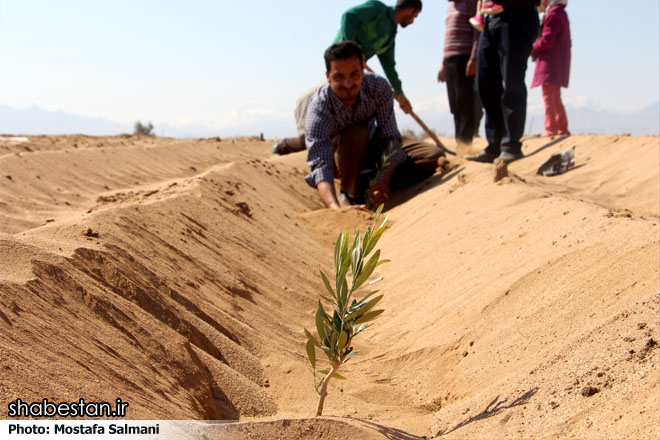 تشکیل پویش کاشت درخت زیتون به یاد کودکان فلسطینی