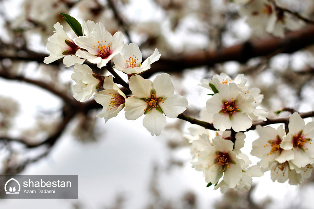    زمین چگونه زنده می شود؟!