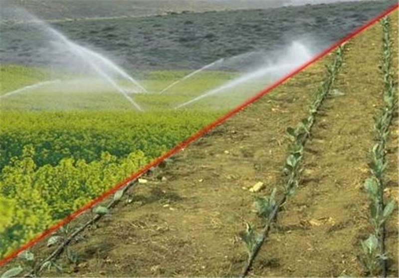 سازمان فضای سبز از بسته سرمایه گذاری شبکه متمرکز آبیاری رونمایی می‌ کند 