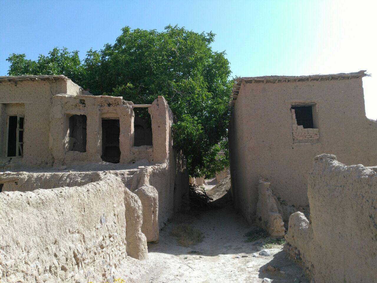 کتاب به قلعه تاریخی روستای امامزاده بزم (ع) جان می دهد