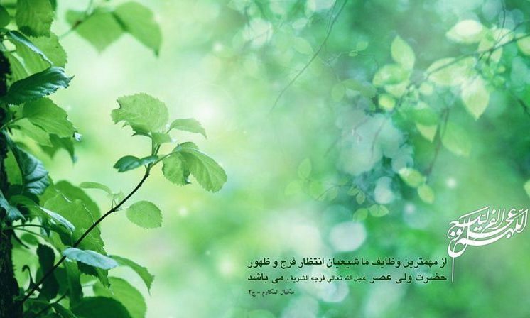 دعای امام رضا(ع) برای ظهور بقیه الله(عج)