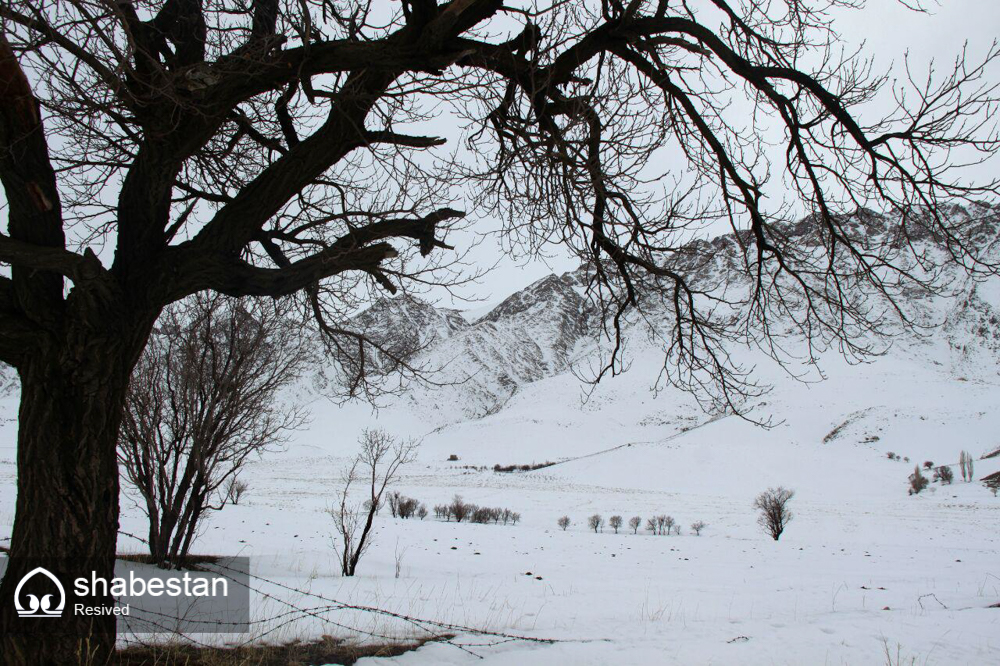 شهرهای ایران سفید پوش می شود