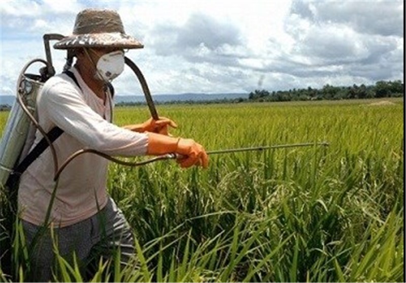   تغییر رفتار حشرات و آفات کشاورزی را در پی خشکسالی/ هشدار به کشاورزان برای پایش مزارع