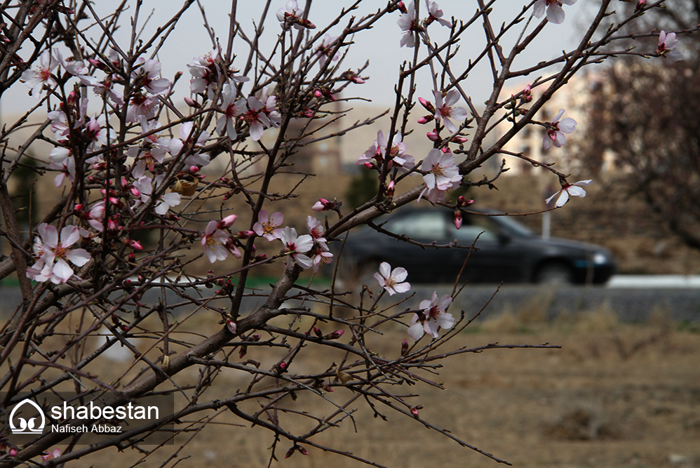 اقامت ۲۳ هزار نفر در اقامتگاه های رسمی استان مرکزی 