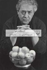 «تابستان وغم» کتابی از «احمد رضا احمدی»