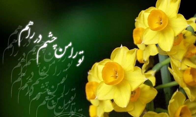 روایت دعاها از قیام حضرت بقیه الله(عج)/فلسفه ندبه خوانیِ منتظران