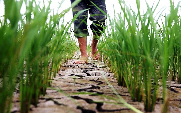 انشعاب های غیرمجاز آب مشکل اصلی کم آبی روستاهای البرز است