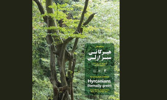 افتتاح نمایشگاه عکس «ثبت جهانی جنگل های هیرکانی» در کاخ نیاوران