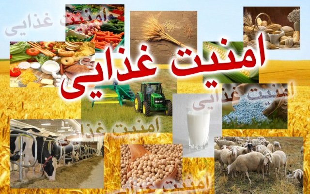 کارگروه امنیت غذایی باید کشتارگاه های سنتی کرمان را تعیین تکلیف کند