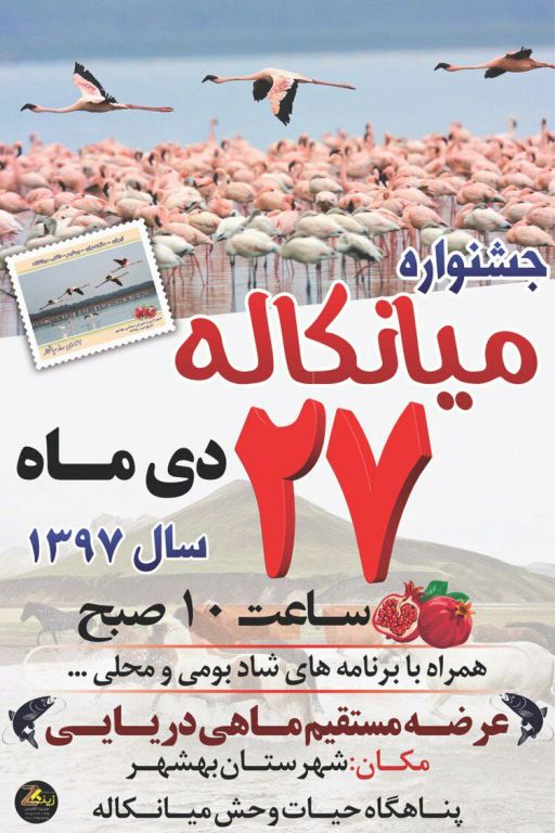  دومین جشنواره روز میانکاله در بهشهر برگزار می شود  