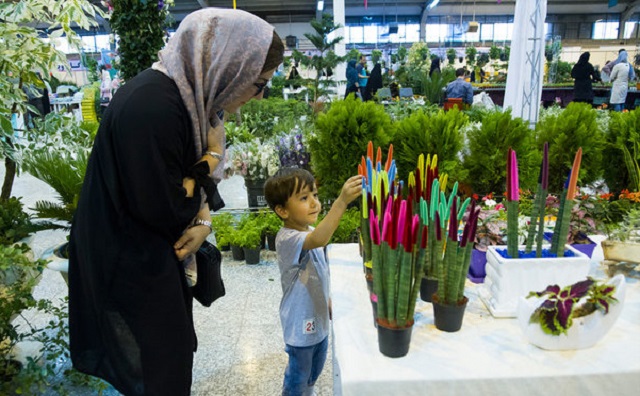 برگزاری  کلاس‌های«آموزش شهروندی نگهداری از فضای سبز خانگی» در بندرعباس