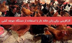 اهتمام بانوی کارآفرین مسجدی برای تبیین اقتصادمقاومتی