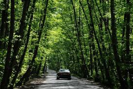 ثبت ۲۷ اثر طبیعی در فهرست میراث ملی ـ طبیعی کشور