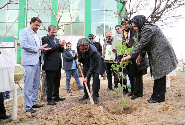 کاشت نهال به یاد نجات‌دهندگان خاموش 