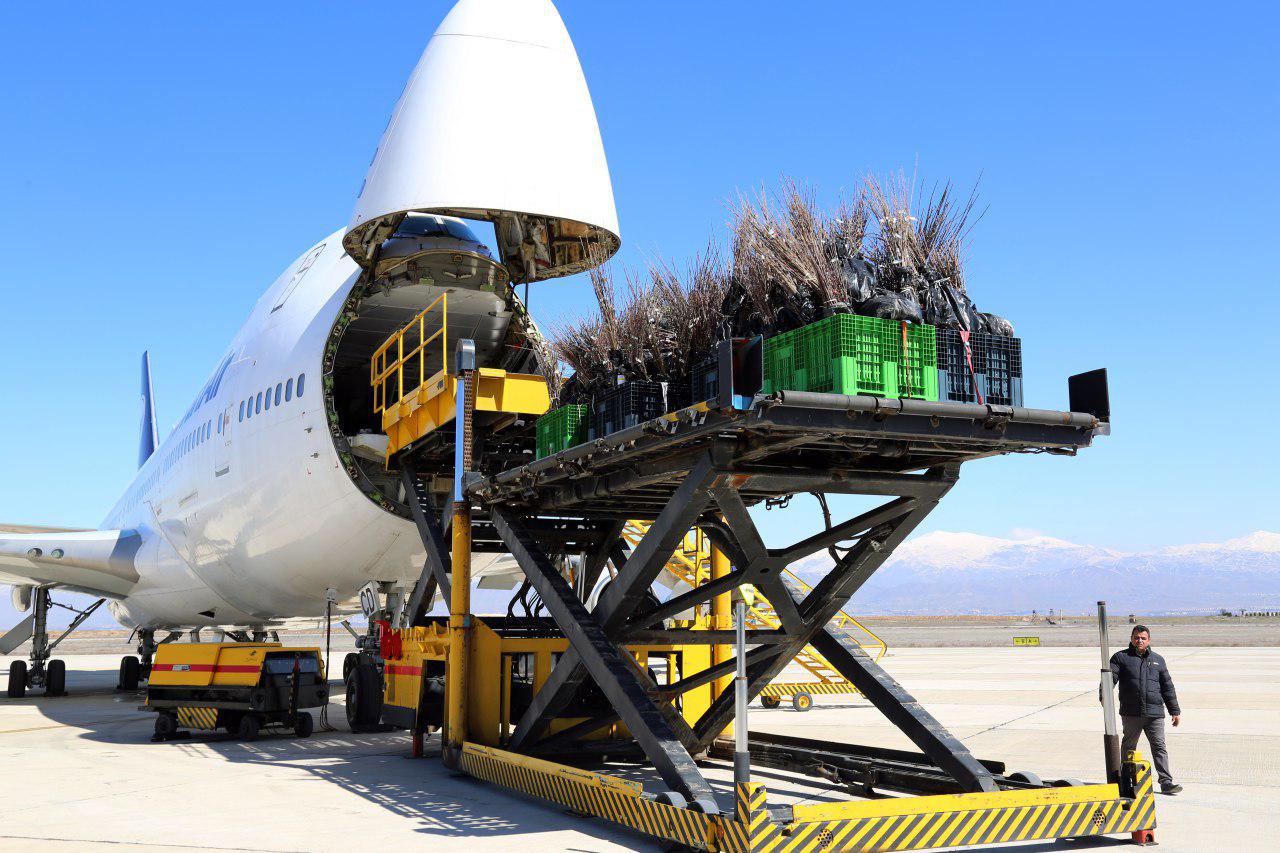 صادرات بار هوایی پس از یک دهه از فرودگاه پیام/ ارسال ۶۰۰۰ اصله نهال به قزاقزستان از البرز