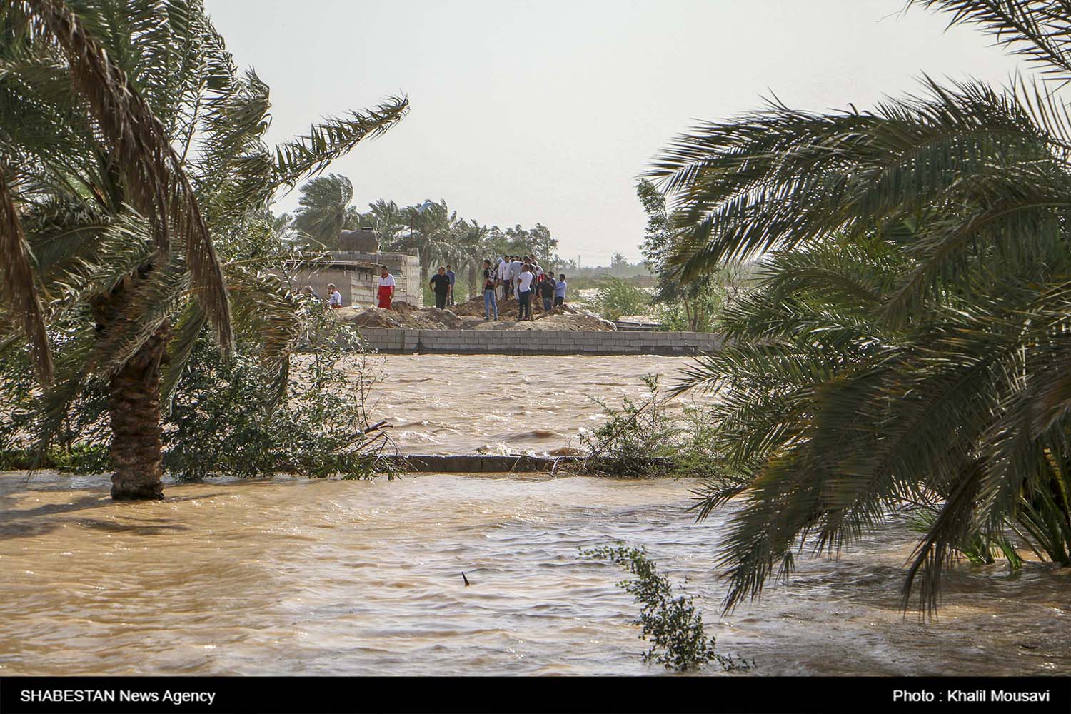 دستور تخلیه روستاهای حاشیه دز، کرخه و کارون در خوزستان/ آغاز عملیات ترمیم سیل بندها توسط ارتش