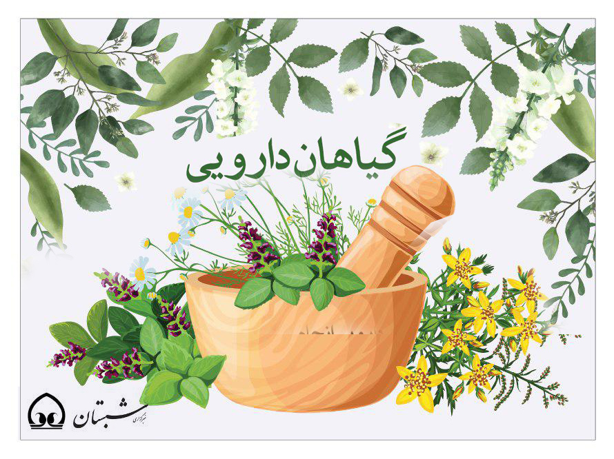 اینفوگرافی/ گیاهان دارویی