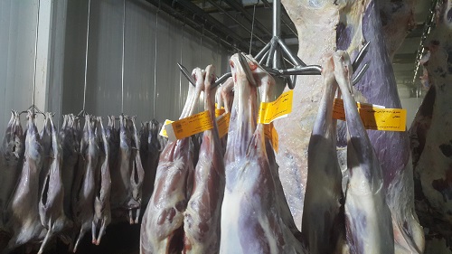 افزایش شعبه عرضه محصولات با هدف تحقق شعار سال و افزایش اشتغال در یزد  