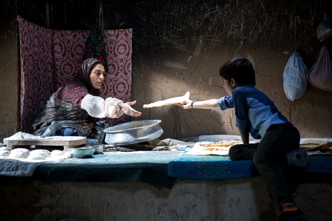 حضور «ماهی و برکه» در بخش سينمايى غيرقانونى است